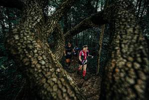 BIB: 
                            <button type="button" onclick="openModal(25681722)" class="btn btn-primary btn-sm float-right btn-popup" data-toggle="modal" data-target=".modal-high-quality">
                        <i class="fas fa-shopping-cart"></i> Add to Cart
                    </button>
                                            <button type="button" onclick="isThisMe(25681722, true)" class="btn btn-success btn-sm float-right btn-popup btn-isme hidden" data-toggle="tooltip" data-placement="bottom" title="นี่คือรูปของคุณใช่ไหม คลิกที่นี่เพื่อเอาเข้าอัลบั้ม">
                        <i class="fas fa-plus"></i> Add to album
                    </button>
                    <button type="button" onclick="isThisMe(25681722, false)" class="btn btn-warning btn-sm float-right btn-popup btn-isnotme hidden">
                        <i class="fas fa-ban"></i> Remove from album
                    </button>